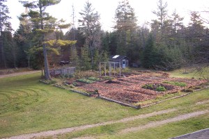 Garden winding down and mulched