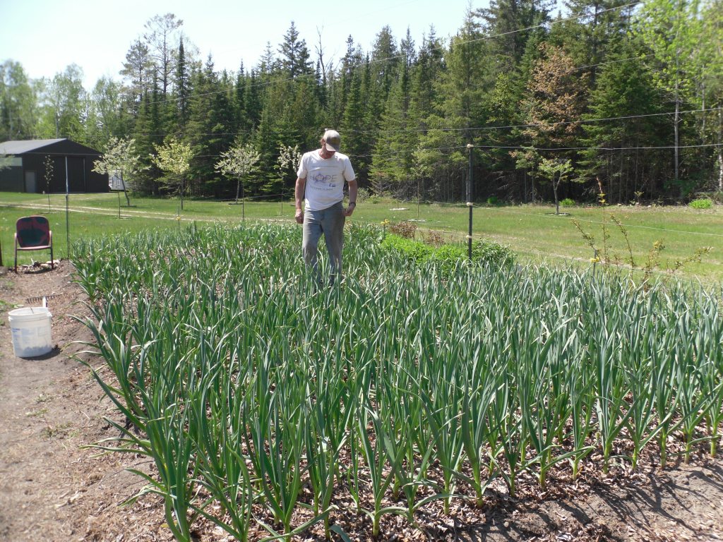 Help! I am married to an addict and it is affecting our&nbsp;relationship