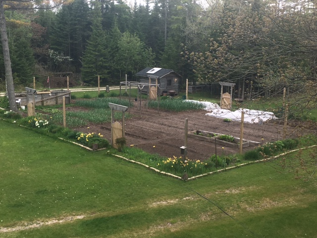     The garden circa Spring 2016. Note that the little forest in the top right of the previous photo has been cleared to make room for more garden space. He also added custom gates, a deer fence and expanded the perimeter garden, (and this is only one of the gardens, yup)