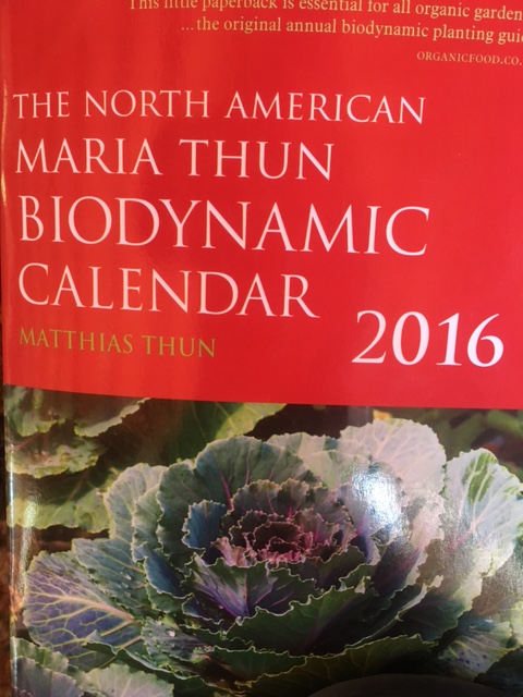 Gardening by the&nbsp;Moon