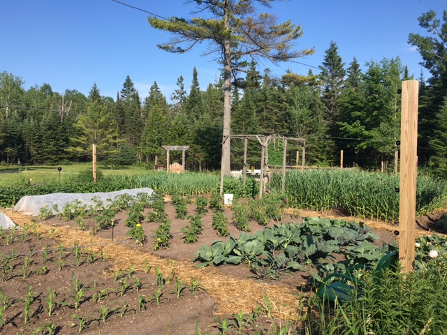 gardening, upper peninsula, biodynamic garden