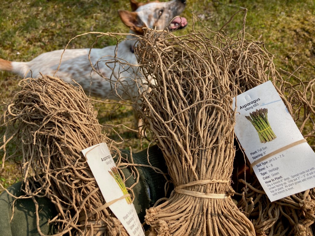 Growing Really Slow&nbsp;Food