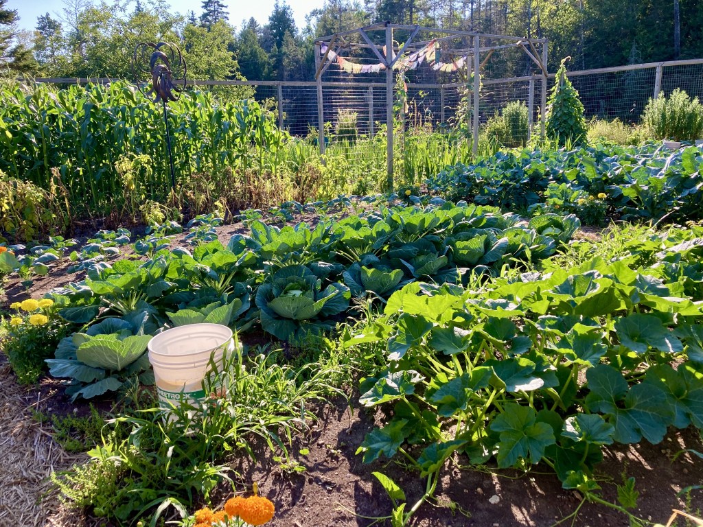 Awesome Amazing Abundant&nbsp;August